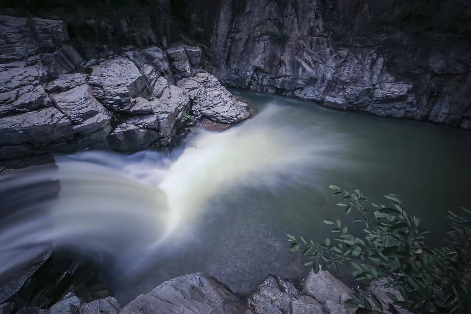 救援鹦鹉