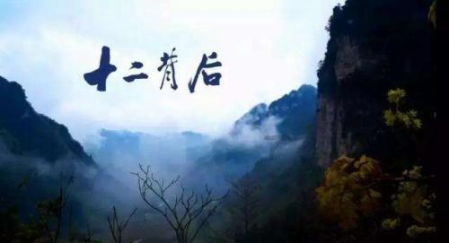 养狗如果不是用来玩的,那将毫无乐趣……