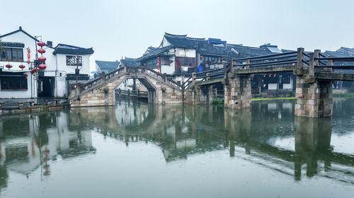 寻找迷路的松鼠